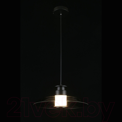 Потолочный светильник Aployt Stefa APL.648.06.10