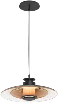 Потолочный светильник Aployt Stefa APL.648.16.10 - фото