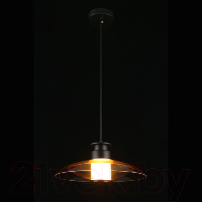 Потолочный светильник Aployt Stefa APL.648.16.10