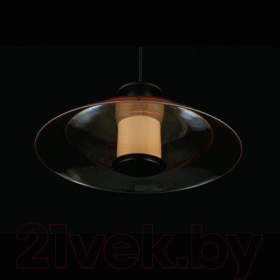 Потолочный светильник Aployt Stefa APL.648.16.10