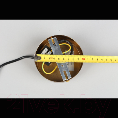 Потолочный светильник Aployt Shantal APL.766.06.01