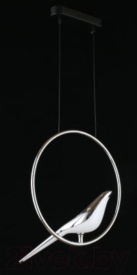 Потолочный светильник Aployt Astor APL.822.16.10