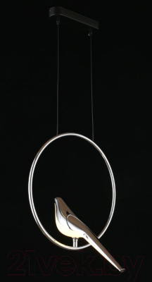 Потолочный светильник Aployt Astor APL.822.16.10