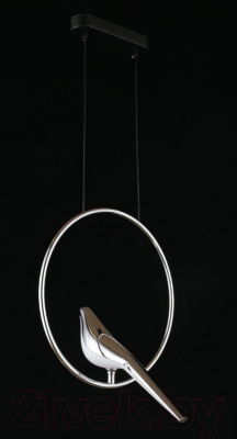 Потолочный светильник Aployt Astor APL.822.16.10