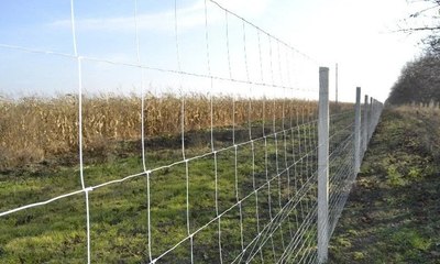 Сетка шарнирная Белзабор 1.85x20м