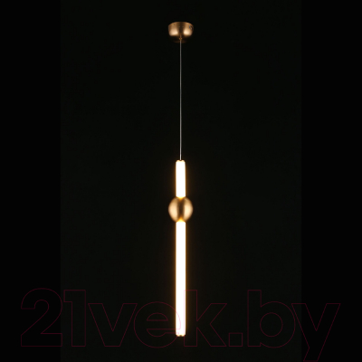 Потолочный светильник Aployt Zhozefin APL.038.06.20