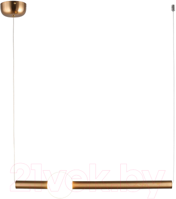 Потолочный светильник Aployt Zhozefin APL.038.16.12 - фото