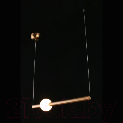 Потолочный светильник Aployt Zhozefin APL.038.16.12