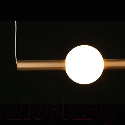 Потолочный светильник Aployt Zhozefin APL.038.16.12