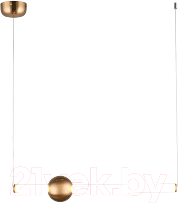 Потолочный светильник Aployt Zhozefin APL.038.16.20 - фото