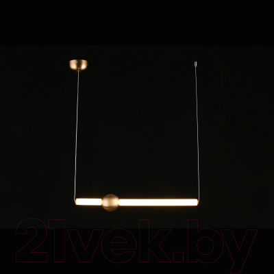 Потолочный светильник Aployt Zhozefin APL.038.16.20