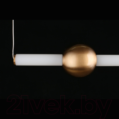 Потолочный светильник Aployt Zhozefin APL.038.16.20