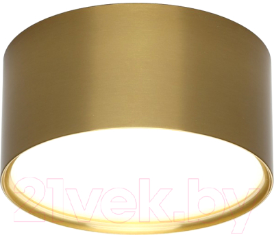 Точечный светильник Omnilux Abano OML-103329-12 - фото