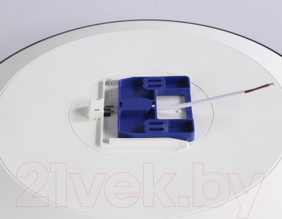 Потолочный светильник Ambrella FZ1225 BK