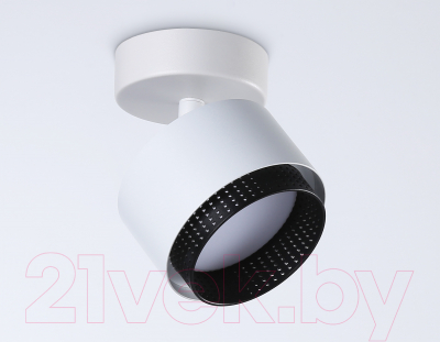 Спот Ambrella TN71279 WH/BK