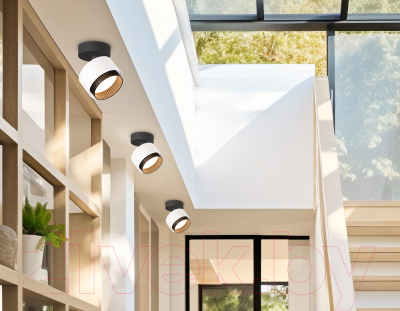 Спот Ambrella TN71279 WH/BK