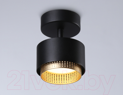 Спот Ambrella TN71282 BK/GD