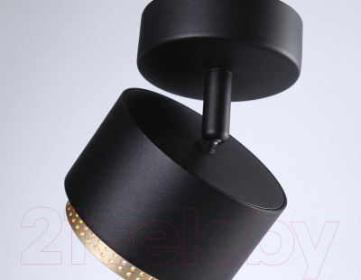 Спот Ambrella TN71282 BK/GD