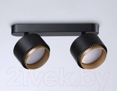 Спот Ambrella TN71288/2 BK/GD