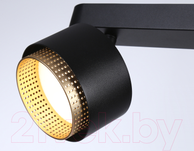Спот Ambrella TN71288/2 BK/GD