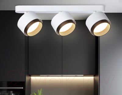 Спот Ambrella TN71291/3 WH/BK