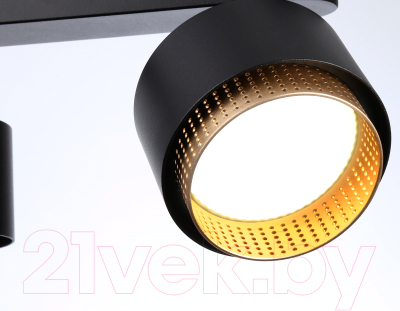 Спот Ambrella TN71295/3 BK/GD