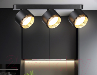 Спот Ambrella TN71295/3 BK/GD