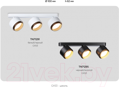 Спот Ambrella TN71295/3 BK/GD
