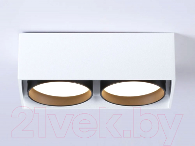 Точечный светильник Ambrella TN70872/2 WH/BK