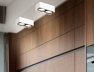 Точечный светильник Ambrella TN70872/2 WH/BK