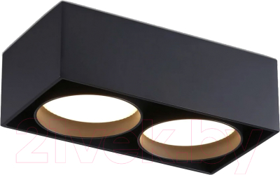 Точечный светильник Ambrella TN70875/2 BK - фото