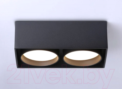 Точечный светильник Ambrella TN70875/2 BK