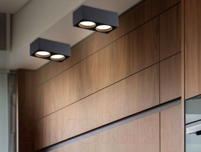 Точечный светильник Ambrella TN70875/2 BK