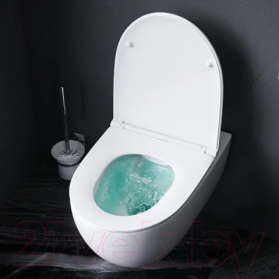 Унитаз подвесной с инсталляцией AM.PM Awe FlashClean IS47001.111700