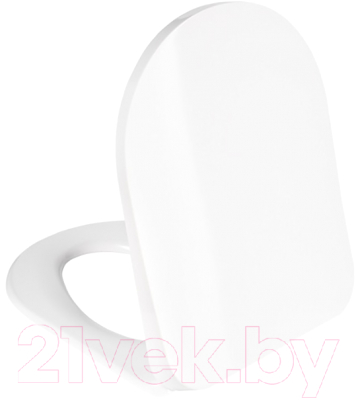 Сиденье для унитаза IDDIS Soft Close 067DPSEi31 - фото