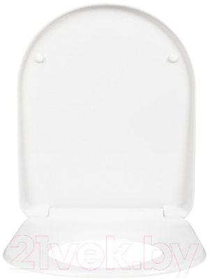 Сиденье для унитаза IDDIS Soft Close 067DPSEi31