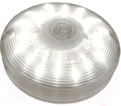 Светильник ЖКХ Светотехника Прамень-107 ДПО 01-7-107 УХЛ4 исп 02 - фото