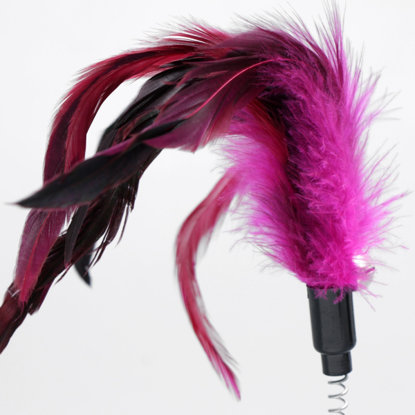 Игрушка для кошек Пижон Перышки