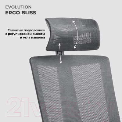 Кресло офисное Evolution Ergo Bliss