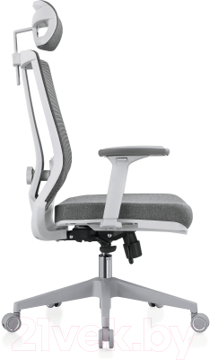 Кресло офисное Evolution Ergo Bliss