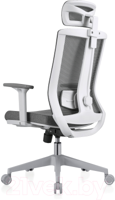 Кресло офисное Evolution Ergo Bliss