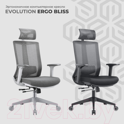 Кресло офисное Evolution Ergo Bliss
