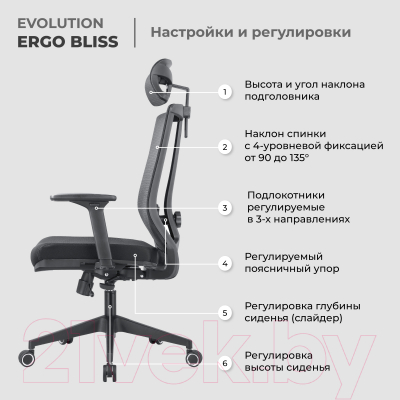 Кресло офисное Evolution Ergo Bliss