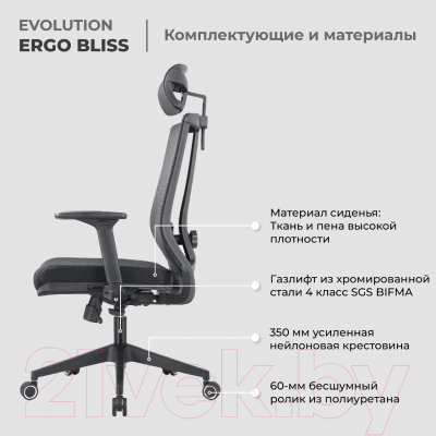 Кресло офисное Evolution Ergo Bliss