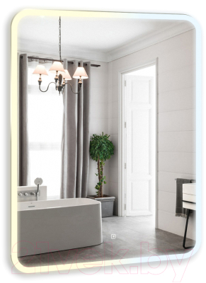 Зеркало Silver Mirrors Стив ТХ 68.5x91.5 / LED-00002893