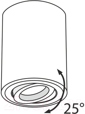 Точечный светильник Maytoni Alfa C016CL-01B