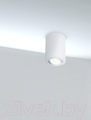 Точечный светильник Maytoni Alfa C016CL-01W