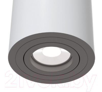 Точечный светильник Maytoni Alfa C016CL-01W