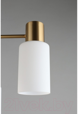 Люстра Omnilux Ales OML-69107-08