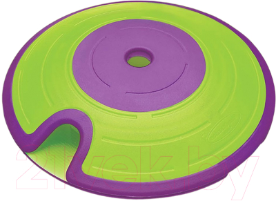 Игрушка для собак Nina Ottosson Лечебный лабиринт 67575M - фото